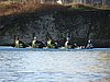 DSC04285.JPG