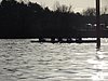 DSC04286.JPG
