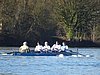 DSC04311.JPG
