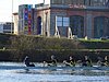 DSC04384.JPG